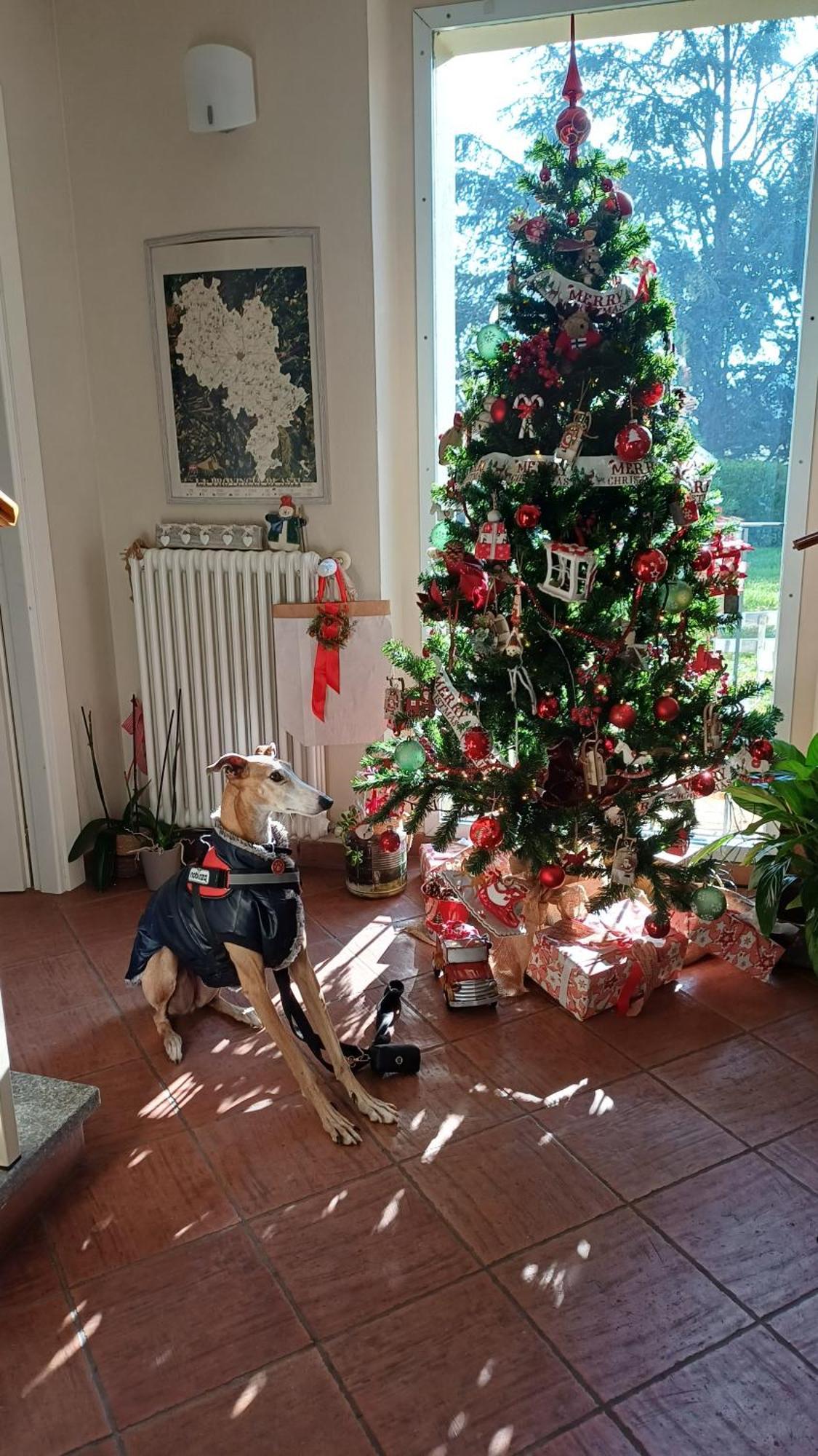 Tenuta Degli Angeli Rossi Asti Buitenkant foto