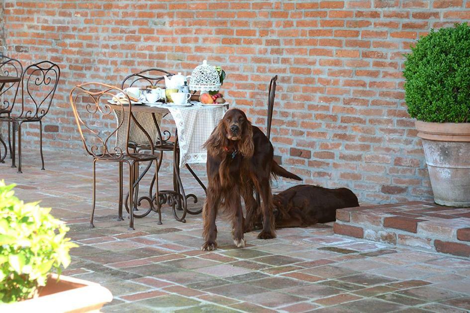 Tenuta Degli Angeli Rossi Asti Buitenkant foto